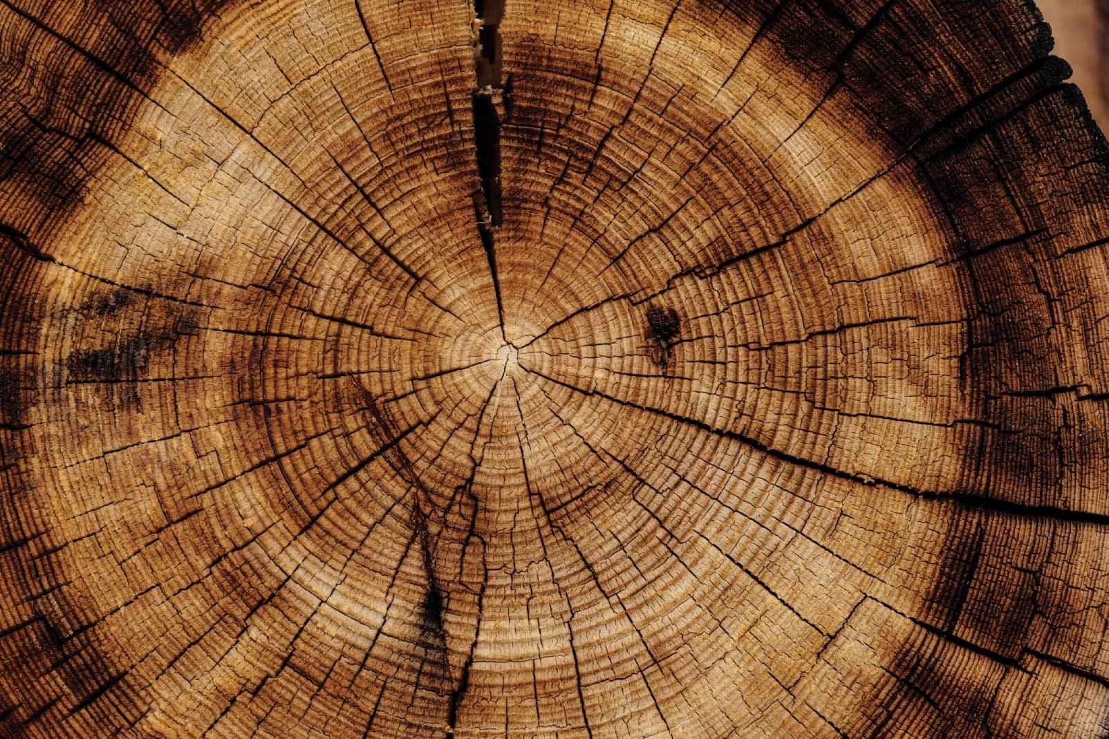 bg-woodgrain